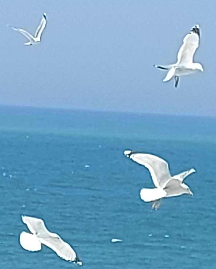 Le Paradis Bleu Bosville Bagian luar foto